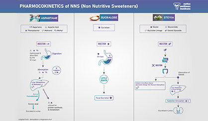 Pharmacokinetics of Non-Nutritive Sweeteners
